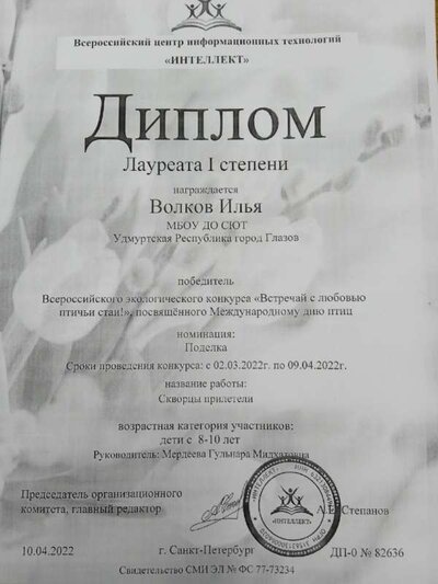 диплом илья.jpg