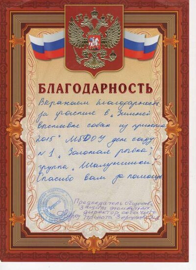 Выставка собак.jpg