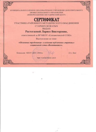 сертификат старшие вожатые.png