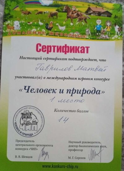 5ffde4476d3db344191718.jpg