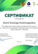 5 Январь Сертификат Орлёнок-Мастер Шапа З.А..jpg