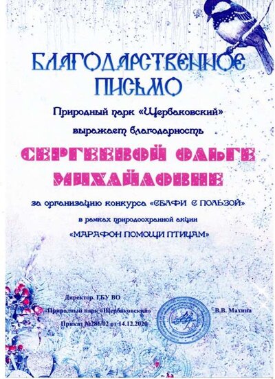 Благодарственное письмо Селфи с пользой.jpg