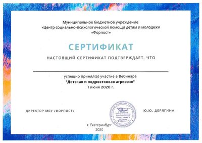 Сертификат_вебинар_Детская и подростковая агрессия.pdf.jpeg