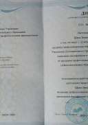 диплом олигофренопедагог.jpg