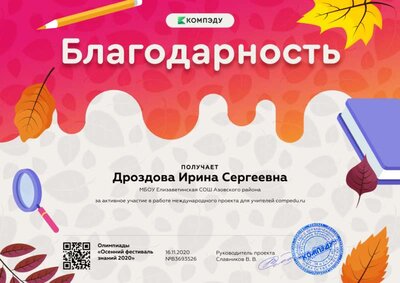 Дроздова Ирина Сергеевна - благодарность.png