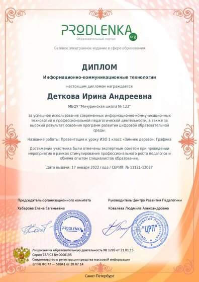 22.01.17 ikt_diploma.pdf.jpeg