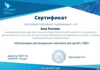 Сертификат учатника практикума Организация дистанционного обучения для детей с ОВЗ.jpg