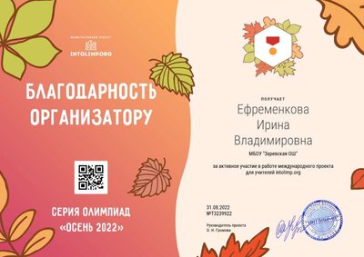 Ефременкова Ирина Владимировна - благодарность организатору.png