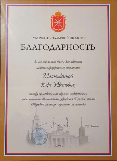 Благодарность Губернатора ТО_2020.jpg