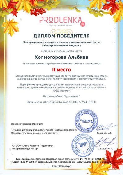 winner_diploma.pdf.jpeg
