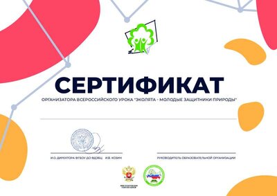 сертификат организатора урока.pdf.jpeg