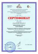 круглом_столе-19_февраля_2021_г_.jpg