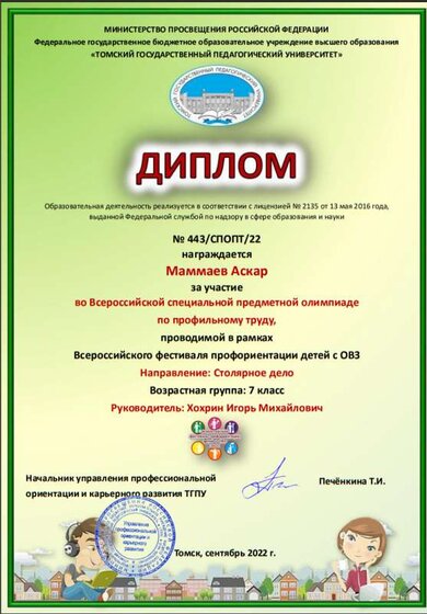 Маммаев Аскар олимпиада по труду.png