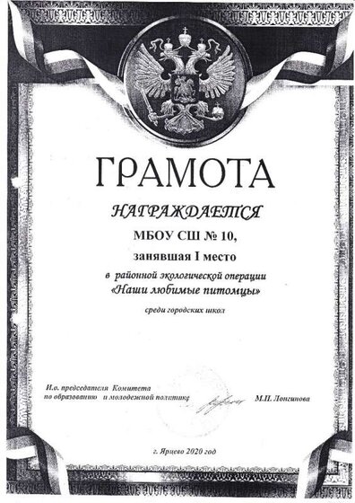 IMG1_0005-min.jpg