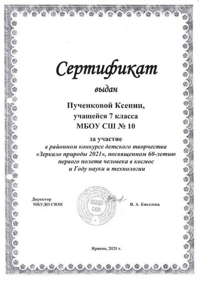 IMG1_0003-min.jpg