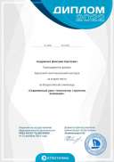 диплом современный урок.pdf.jpeg