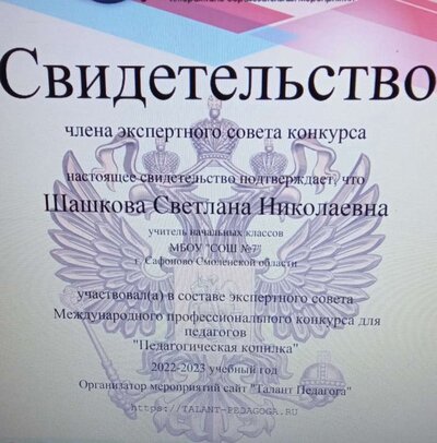 диплом эксперта.jpg