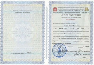 Психолого-педагогическая поддержка детей и подростков с девиант.jpg