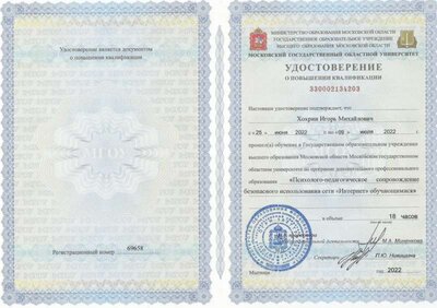 Психолого-педагогическое сопровождение безопасного использовани.jpg