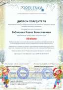 winner_diploma.pdf.jpeg