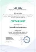 active_teacher_expert_year_certificate_Chernyak Elena Anatolievna.pdf.pdf.jpeg