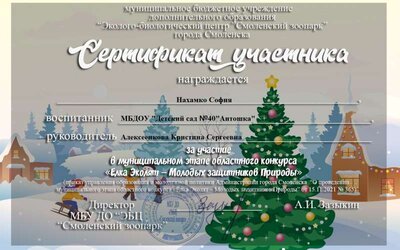 2636 (2) кристина.jpg
