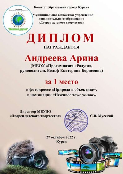 андреева.jpg