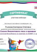 вебинар воскобовича 2 ноября 2022.jpg