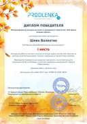 winner_diploma.pdf.jpeg
