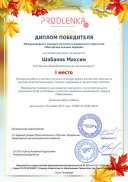 winner_diploma.pdf.jpeg