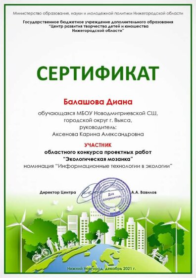 го Выкса_Балашова Диана_page-0001.jpg