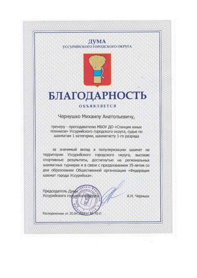 Благодарность.pdf.jpeg