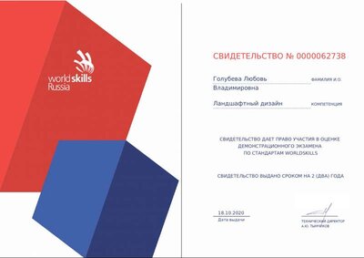 ГолубеваЛюбовьВладимировна свидетельство WS.pdf.jpeg