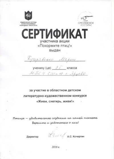 серт.jpeg