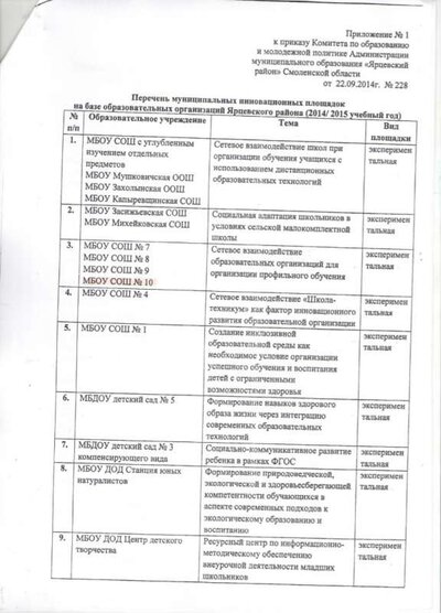 приказ 228 (2).jpeg