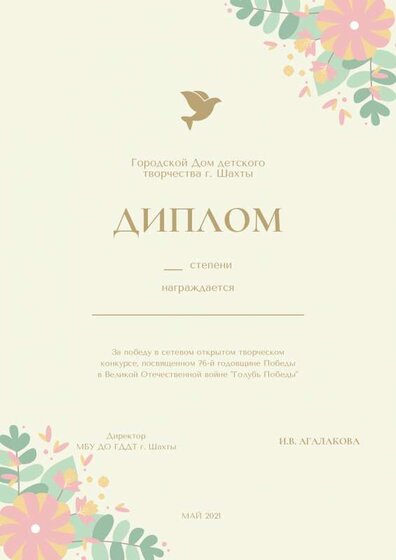Диплом победителя.pdf.jpeg