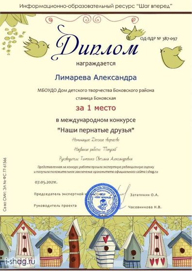 ОД-ПДР № 387-097-Лимарева Александра  — копия.jpg