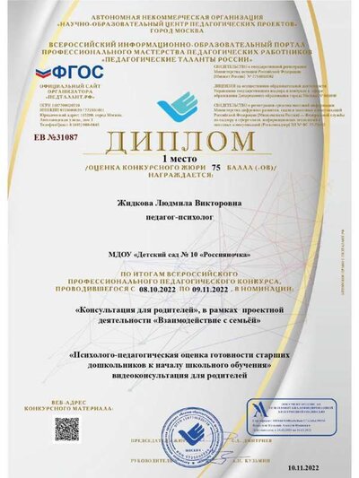 видеоконсультация.jpg