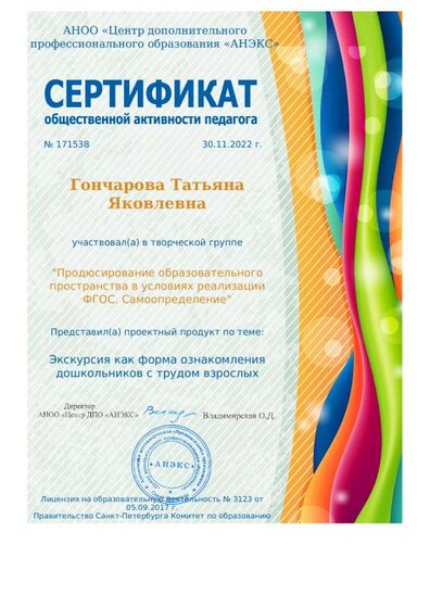 Сертификат общественной активности, 30.11.2022.pdf.jpeg