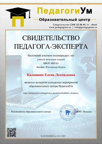 СВИДЕТ ПЕДАГОГА ЭКСПЕРТА.pdf.jpeg