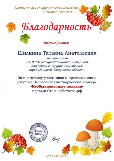 Шилкина Татьяна .pdf.jpeg