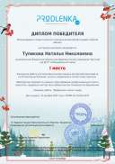 winner_diploma.pdf.jpeg