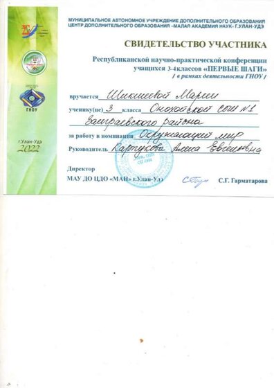 свидетельство НПК Шикшеева.jpg