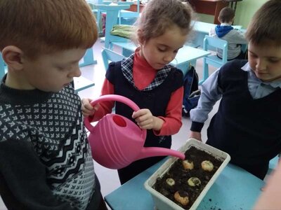 IMG-709f1fd4a5fb0039e2f34bebc3bcddb9-V.jpg