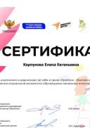 teacher_2165618_certificate.pdf.jpeg