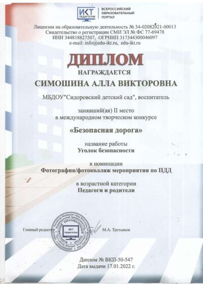 диплом 2.jpeg