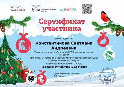 Сертификат участника Руковичка Дед Мороз.pdf.jpeg