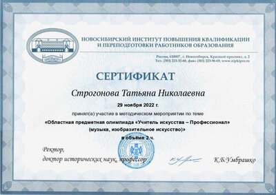 Олимпиада изо.jpg