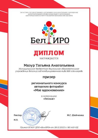 дипломы_Мое вдохновение_Страница_508.jpg