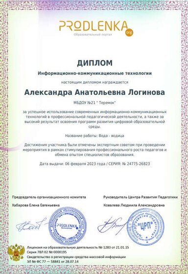 диплои информационной технологии.PNG
